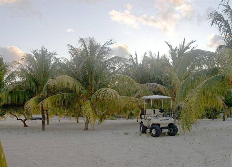 Villas Coco Resort - All Suites (Adults Only) Isla Mujeres Exterior foto